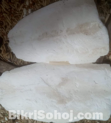 ক্যাটল ফিস বন